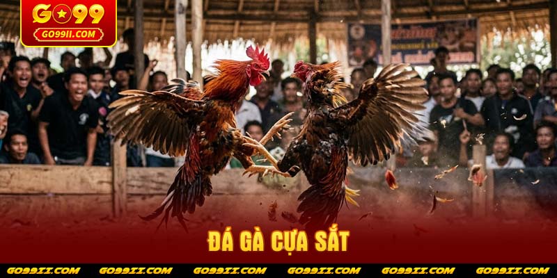 da-ga-cua-sat